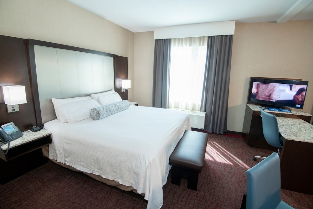Open Bay Suite photo 1