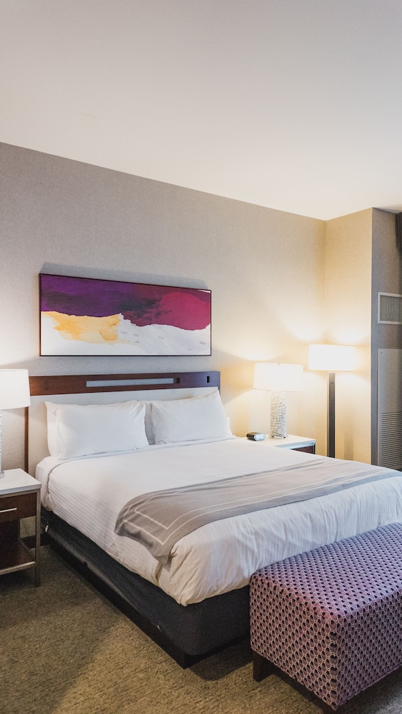 Deluxe Room, 1 King Bed, Smoking - Photo 1
