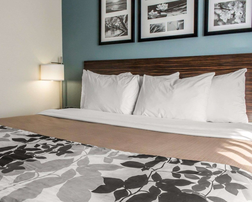 Standard Room, 1 King Bed, Non Smoking photo 1