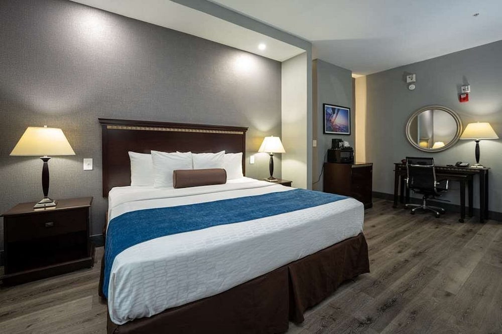 Suite, 1 King Bed, Non Smoking photo 1