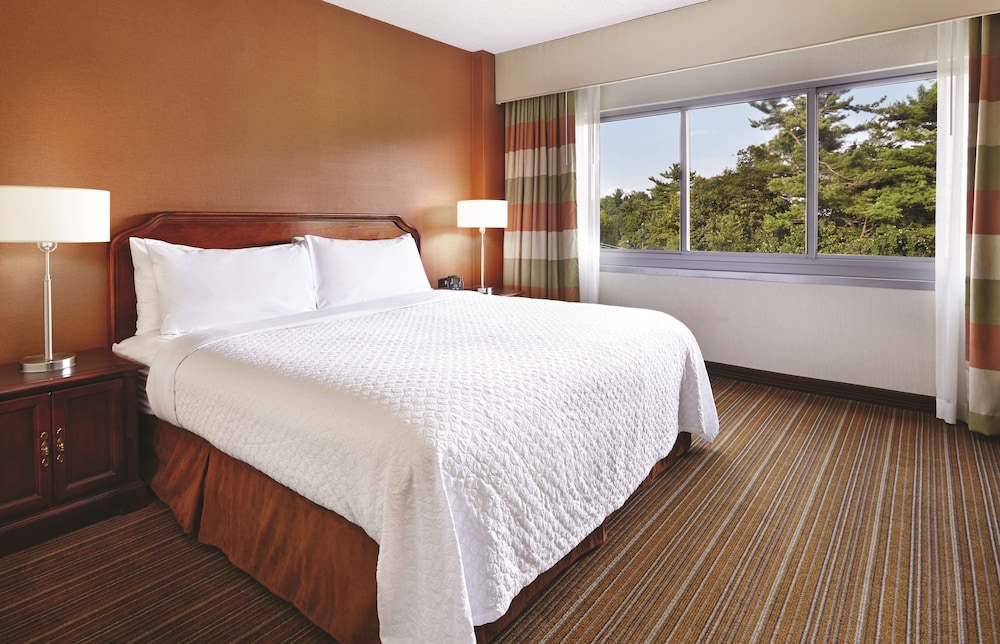 Basic Room, 1 King Bed, Non Smoking - Photo 2