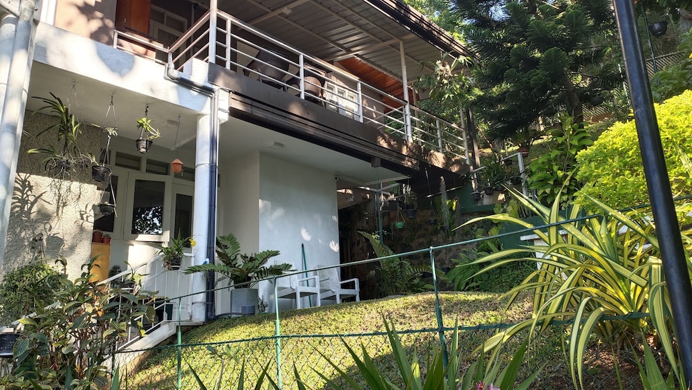 Deluxe Double Room with Wooden Deck photo 2