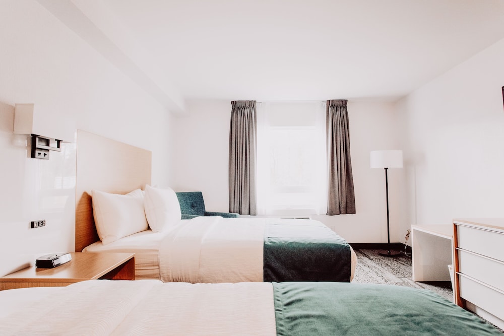 Premier Double Room, 2 Queen Beds, Refrigerator
