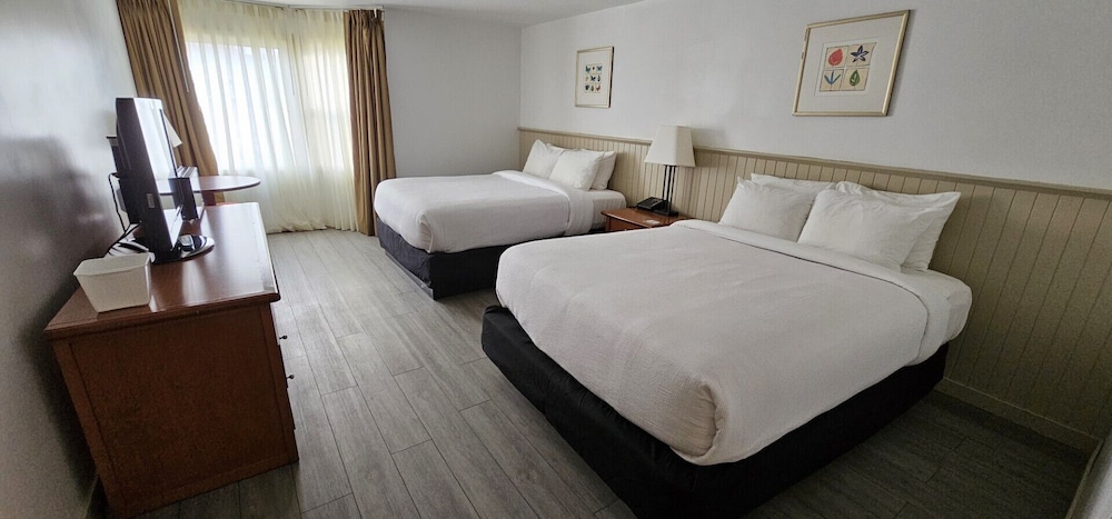Renovated 2 Queen Beds - Conference Centre - Photo 1