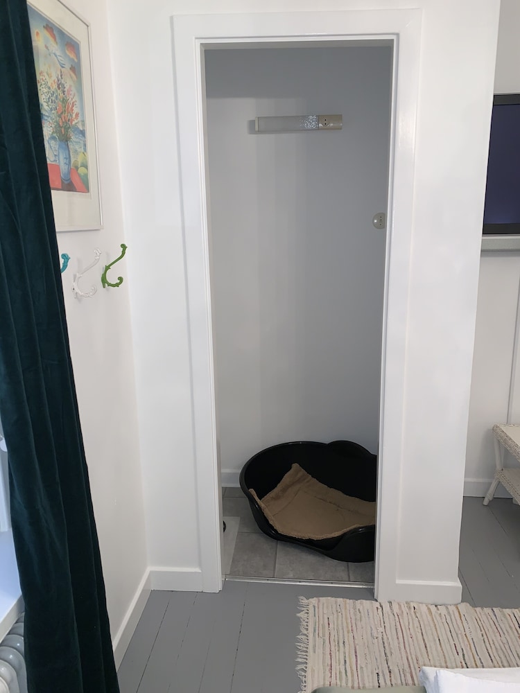 Double Room (Pets Allowed) photo 2