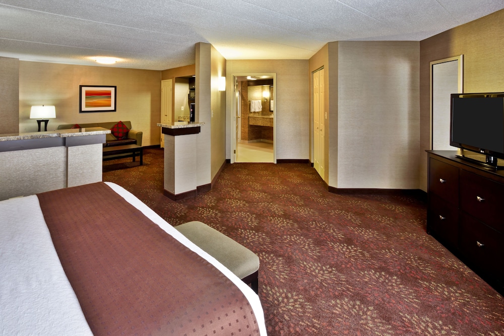 Suite, 1 King Bed, Mobility Accessible, Non Smoking (Communications) photo 2