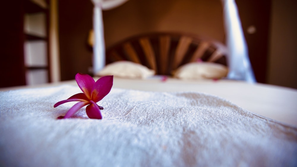 Comfort Studio Suite photo 2