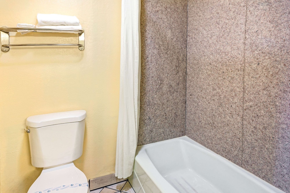 Studio Suite, Multiple Beds, Non Smoking - Photo 7