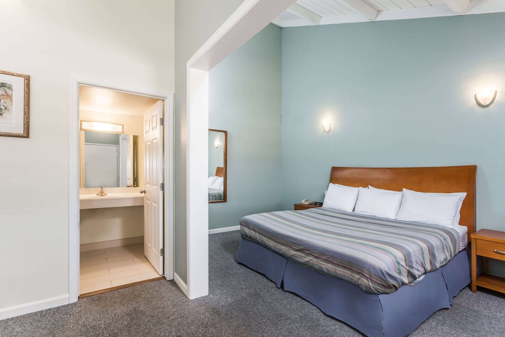 Studio Suite, 1 King Bed, Non Smoking - Photo 1