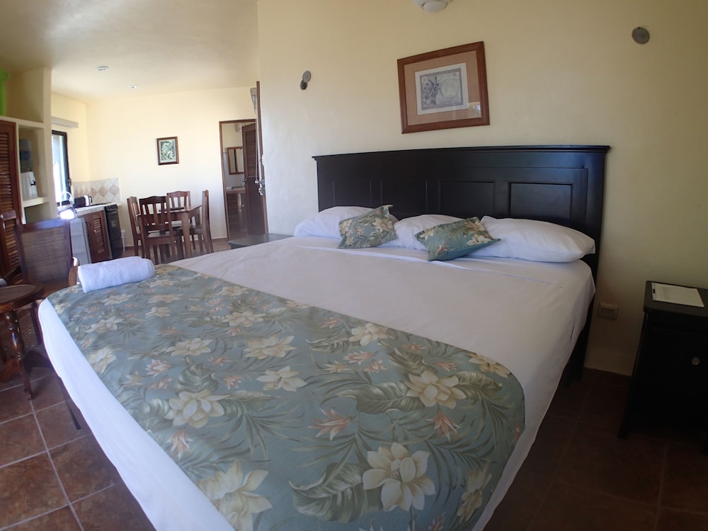 Premium Room, Oceanfront (King) photo 1