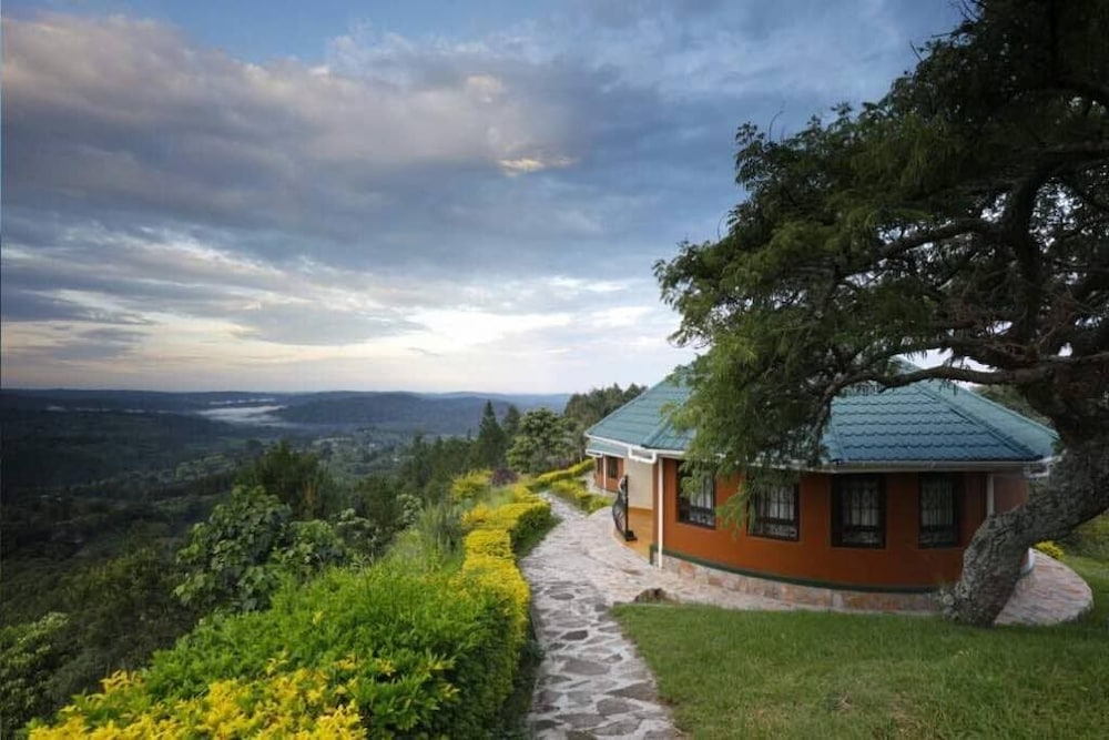 Junior Cottage photo 3