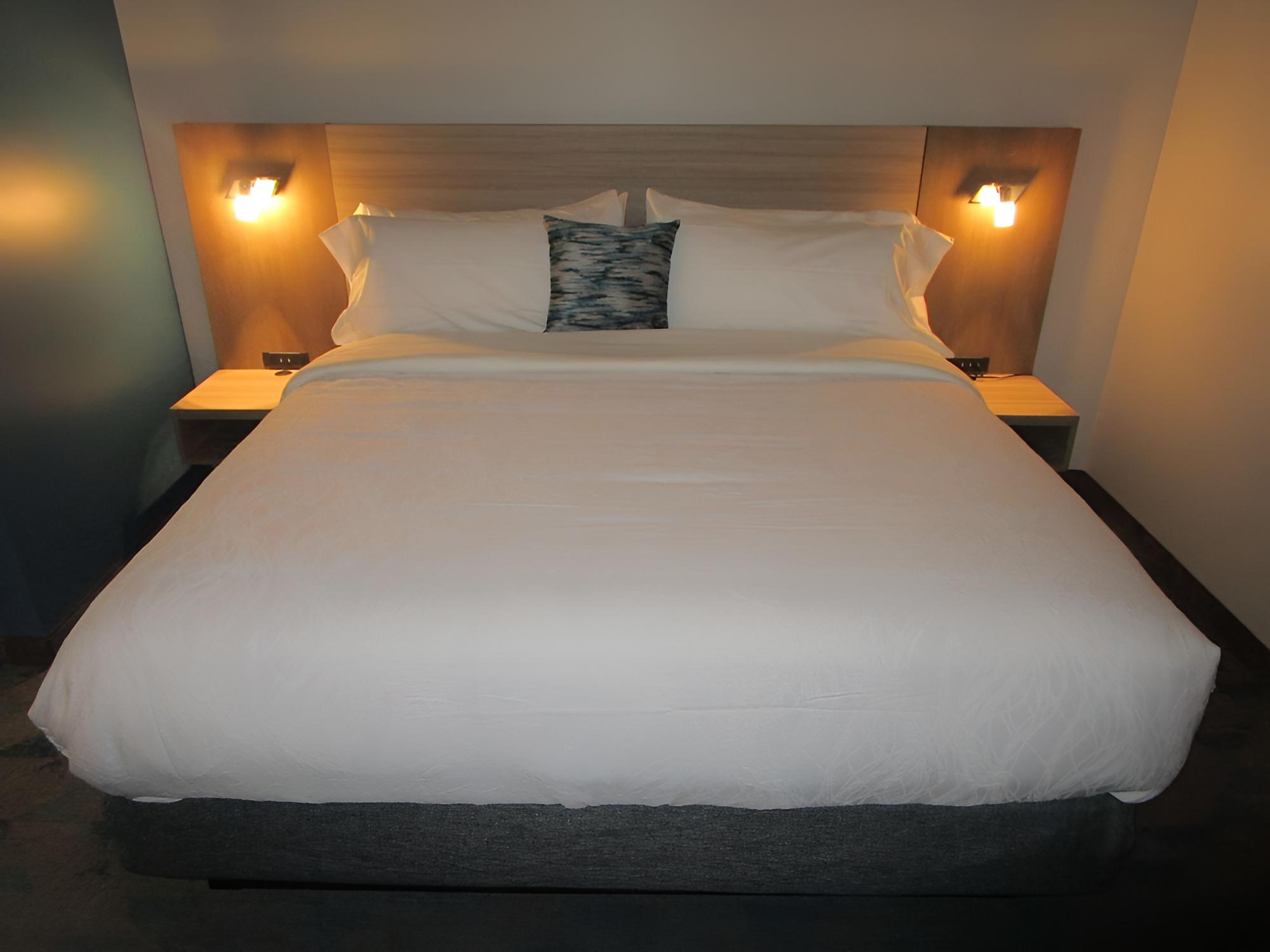 Suite, 1 King Bed, Non Smoking, Refrigerator & Microwave (Walk-in Shower;with Sofabed) - Photo 1