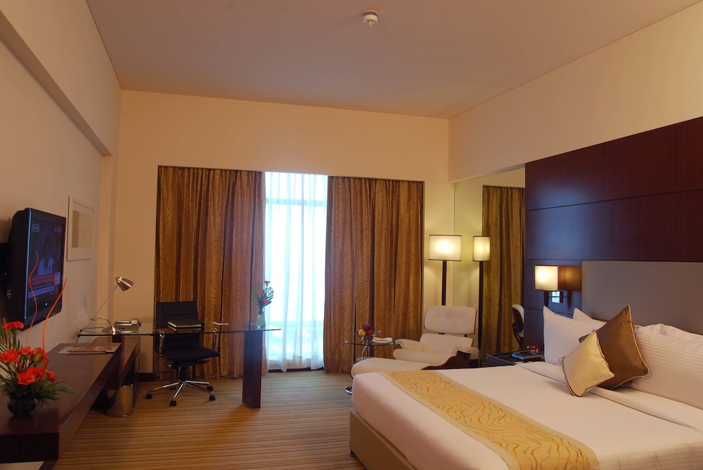 Executive Room - Photo 10