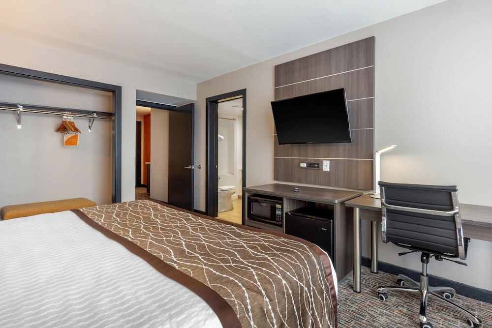 Deluxe Suite, 1 King Bed with Sofa bed, Non Smoking, Kitchen
