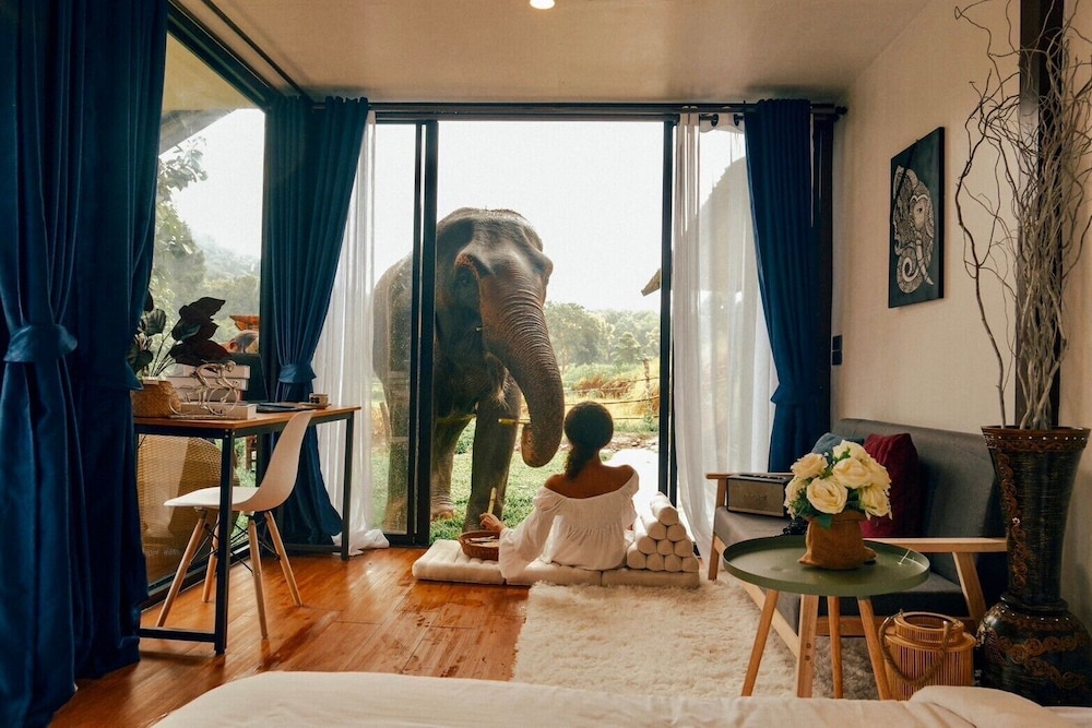 Single Room, River View photo 2