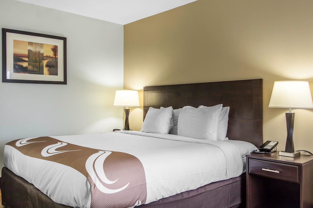 Standard Room, 1 King Bed with Sofa bed, Non Smoking