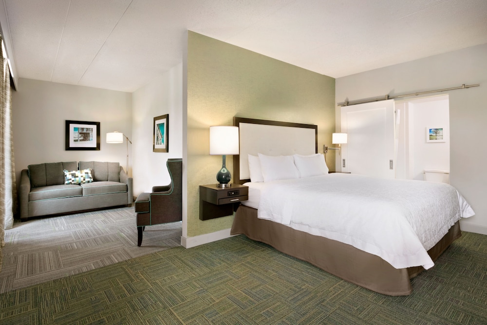 Suite, 1 King Bed, Non Smoking (Mini Suite) - Photo 3