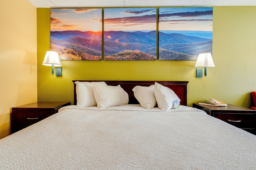 Standard Room, 1 King Bed, Non Smoking - Photo 6