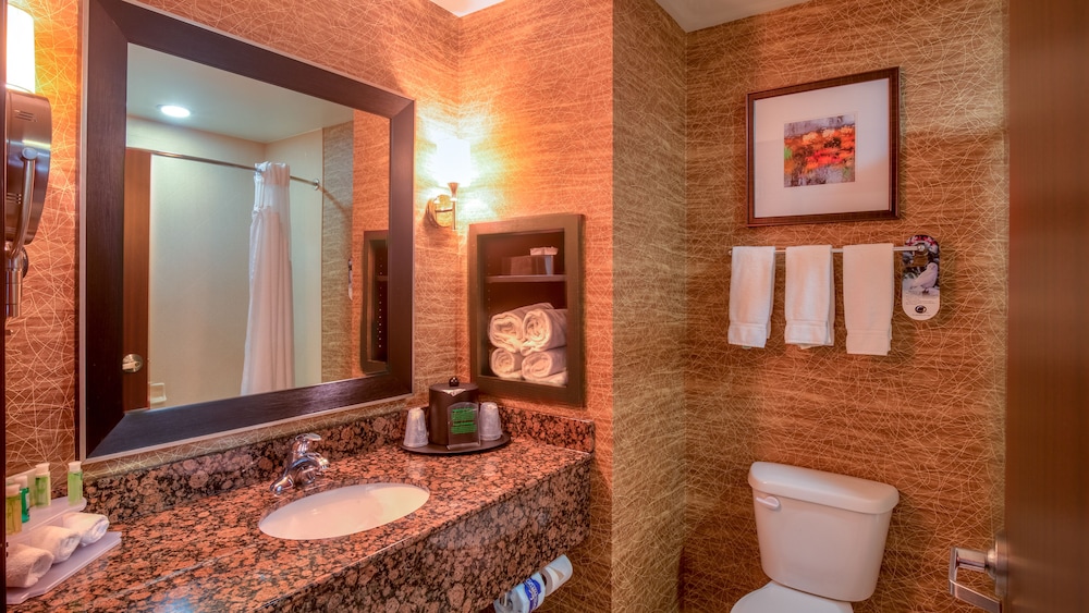 Holiday Inn Express Hotel and Suites Elk City by IHG, Φωτογραφία 3