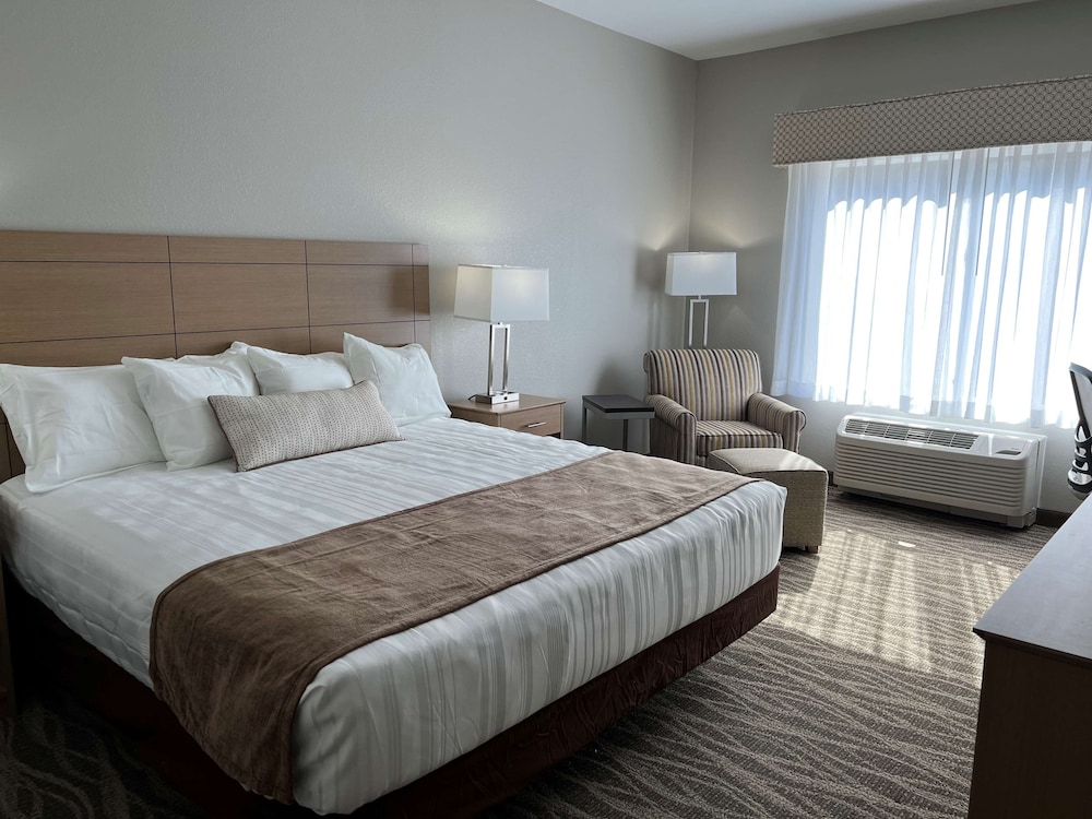 Standard Room, 1 King Bed, Refrigerator & Microwave - Photo 2