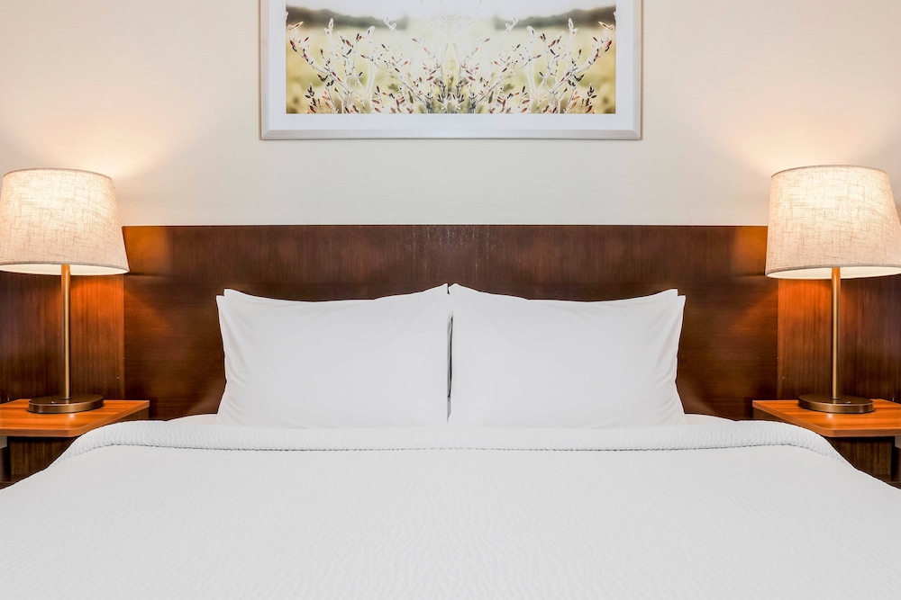 Room, 1 King Bed (Mobility/Hearing Access, Roll-In Shwr) - Photo 3