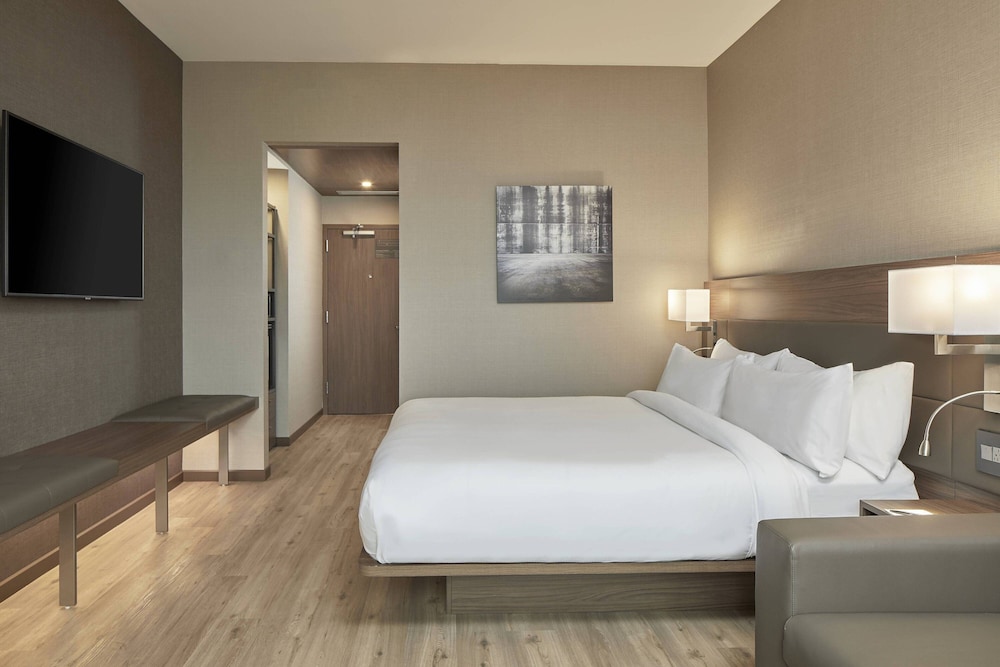 Room, 1 King Bed with Sofa bed (Mobility/Hearing Access, Roll-In Shwr) - Photo 5
