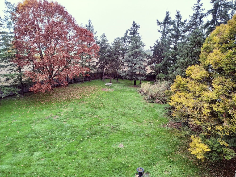 Family Duplex (Tour) photo 2