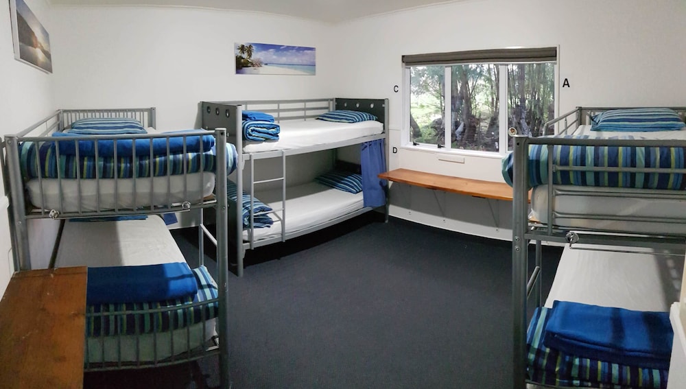 Shared Dormitory, Mixed Dorm