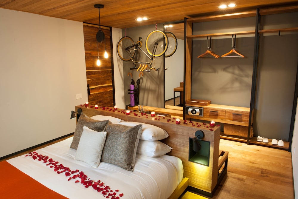 Forest Suite photo 2