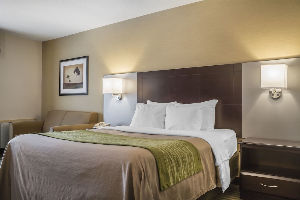 Comfort Care, Standard Room, 1 Queen Bed - Photo 2