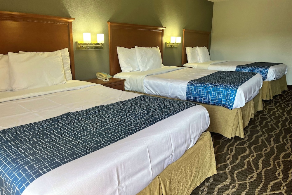 Room, Multiple Beds, Non Smoking photo 1