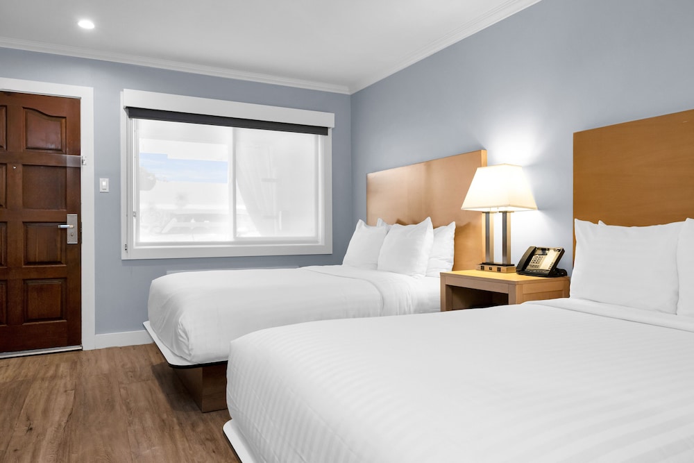 Deluxe Double Room, 2 Double Beds - Photo 8