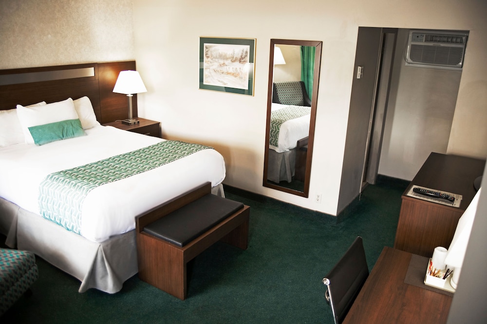 Room, 1 Queen Bed, Non Smoking photo 2