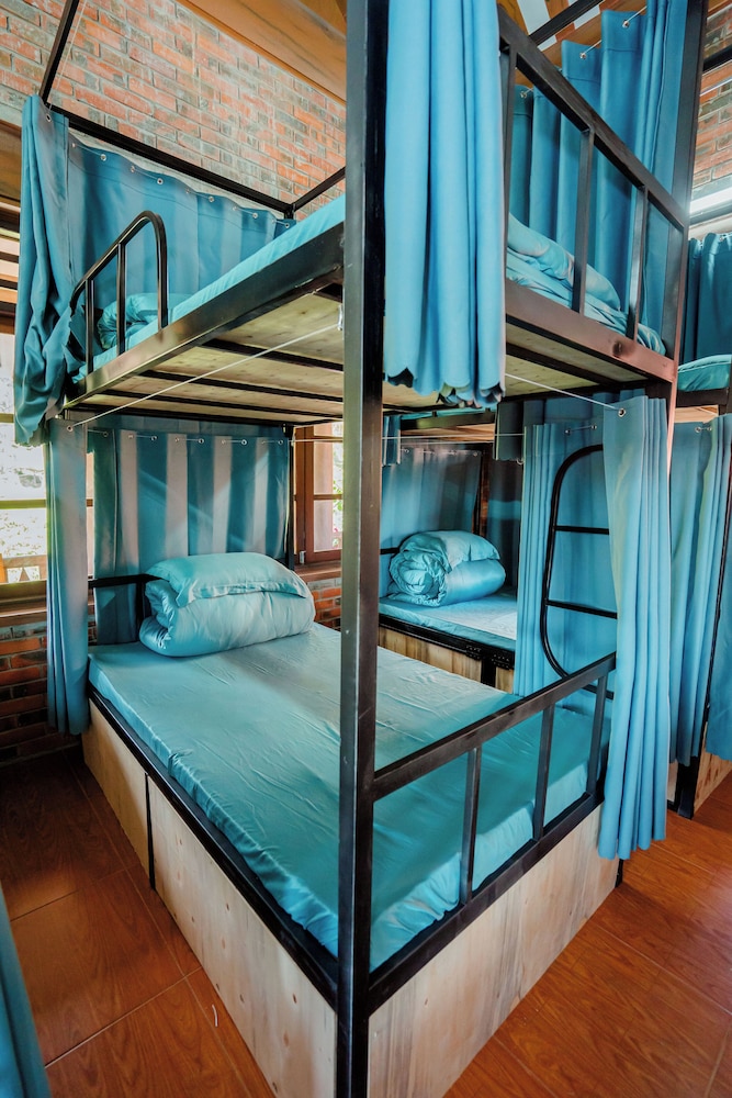 Shared Dormitory photo 3