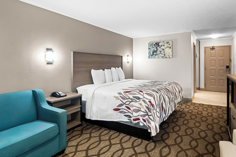 Suite, 1 King Bed with Sofa bed, Non Smoking - Photo 1