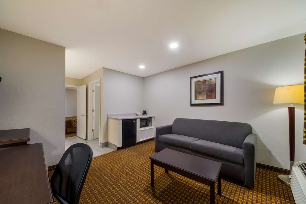 Basic Suite, Non Smoking (1 King Bed with 2 Person Sofa bed) - Photo 1
