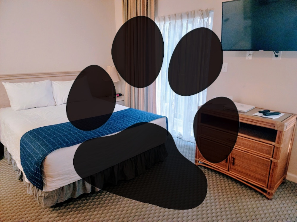 Superior Studio Suite, 1 Queen Bed with Sofa bed photo 1