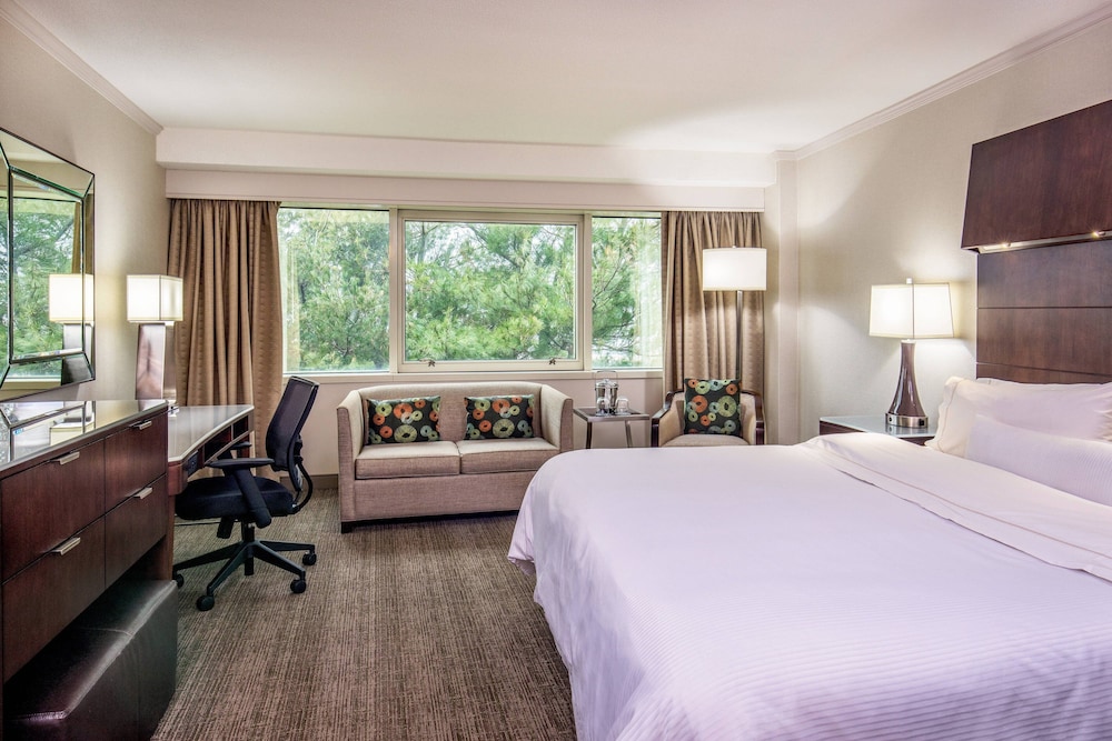 Traditional Room, 1 King Bed (Mobility/Hearing Access, Roll-In Shwr) - Photo 1