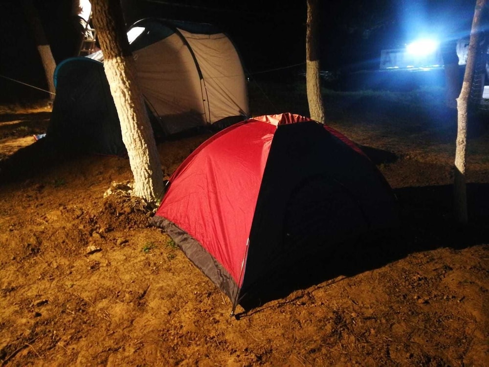 Tent (Up to 4 People) photo 2
