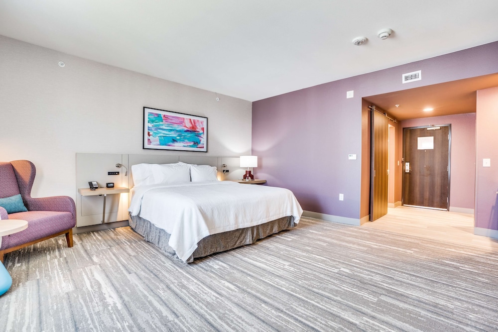 Room, 1 King Bed, Accessible (Roll-In Shower) - Photo 1