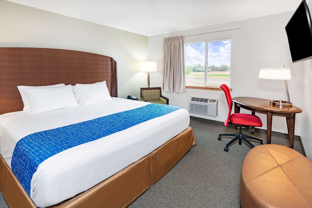 Suite, 1 Bedroom, Non Smoking photo 2