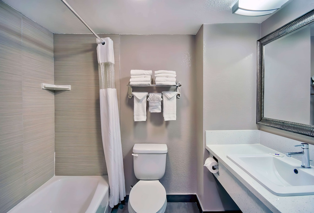 Standard Suite, 1 King Bed, Non Smoking - Photo 11