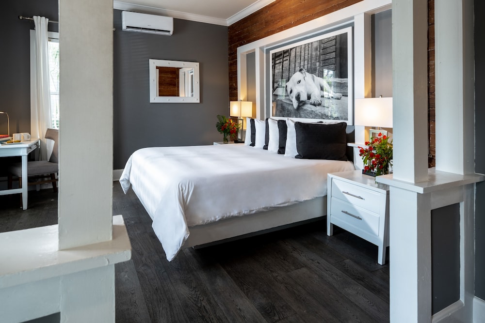 Superior Room, 1 King Bed, Refrigerator & Microwave, Ground Floor (Room 11)