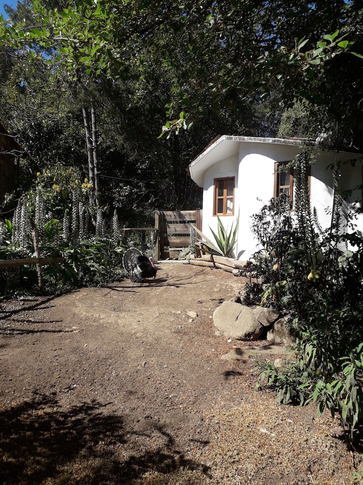 Double Room (Borrego) photo 2