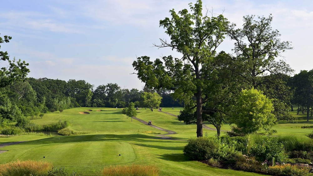 The Standard - Accessible Golf View (Single King) - Photo 5