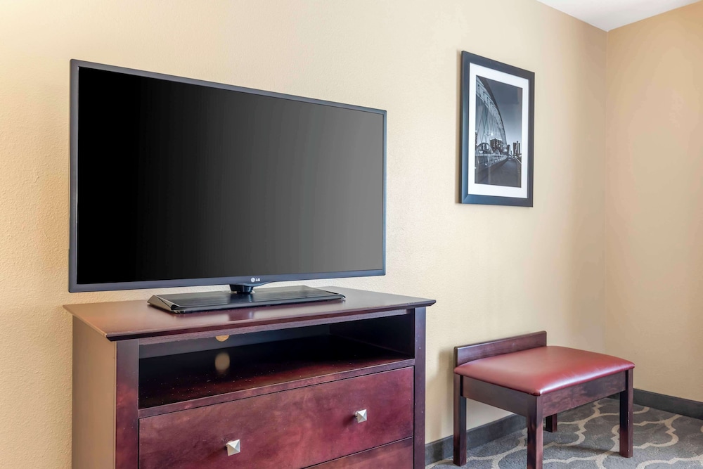 Suite, 1 King Bed with Sofa bed, Non Smoking, Refrigerator & Microwave (with Sofabed) - Photo 4