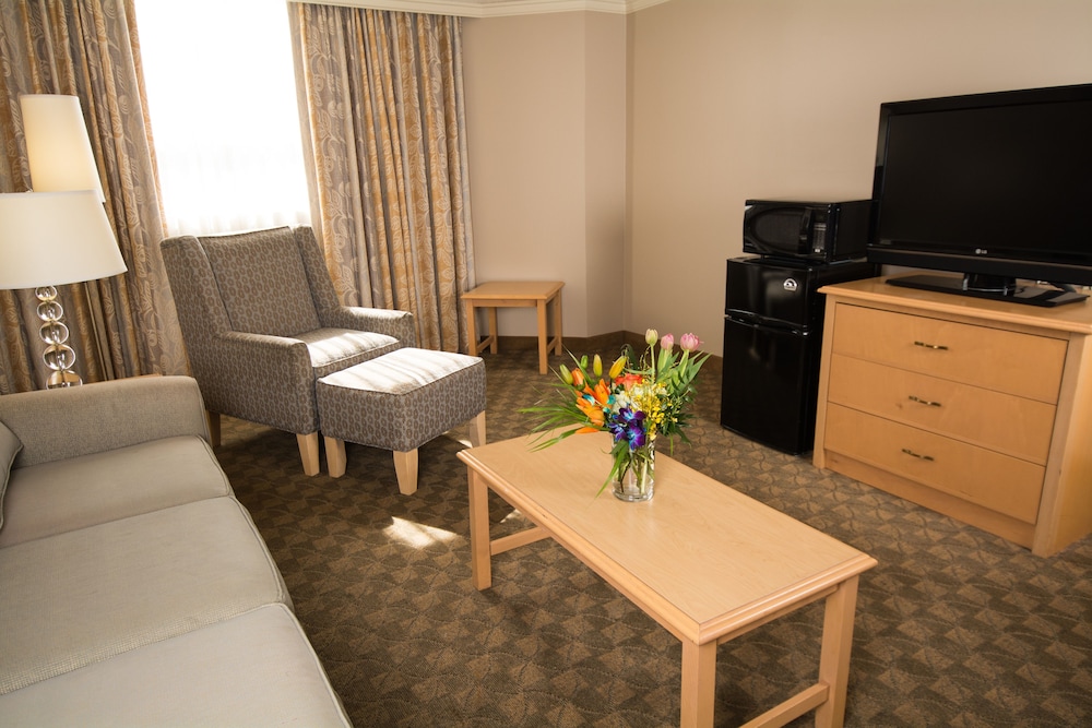 Executive King Suite With Pullout Sofa photo 2