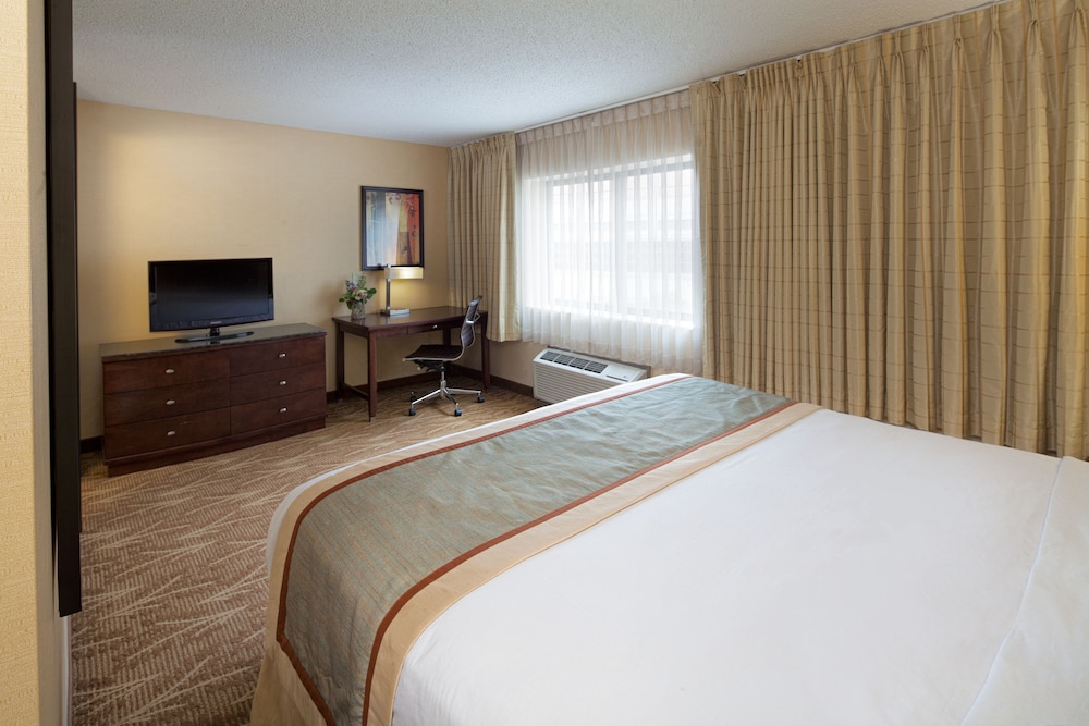Room, 1 King Bed