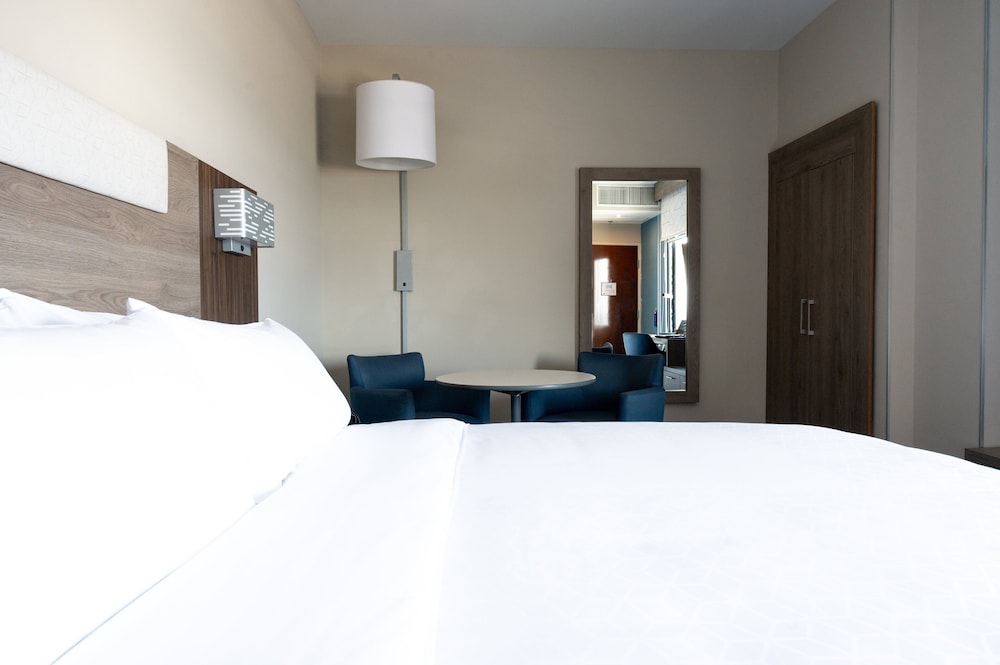 Suite, 1 King Bed photo 3