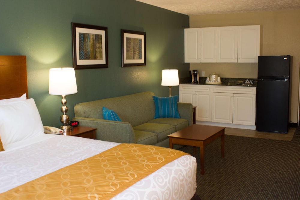 Standard Room, 1 King Bed, Non Smoking, Kitchenette (with Sofabed) - Photo 3